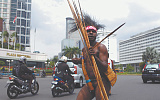 Папуасы снова бушуют в Индонезии