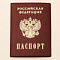 Паспорт гражданина РФ подлежит замене при изменении внешности его владельца — МВД