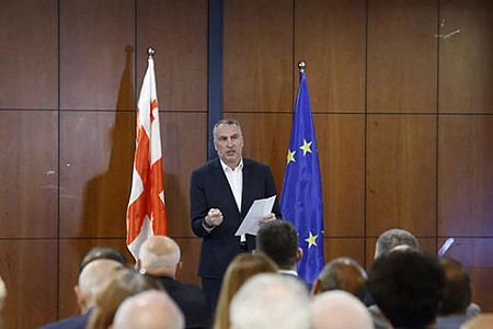 грузия, политика, парламент, драка, этнический национализм