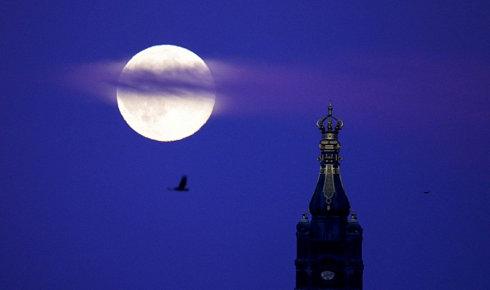 земля, полнолуние, бобровая луна