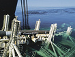 <b>Венграм</b> дадут газ на год
