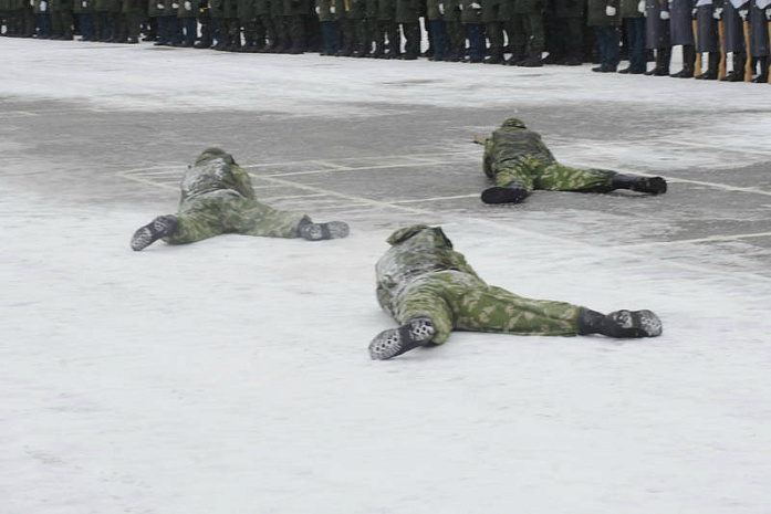 преображенский полк, почетный караул, юбилей