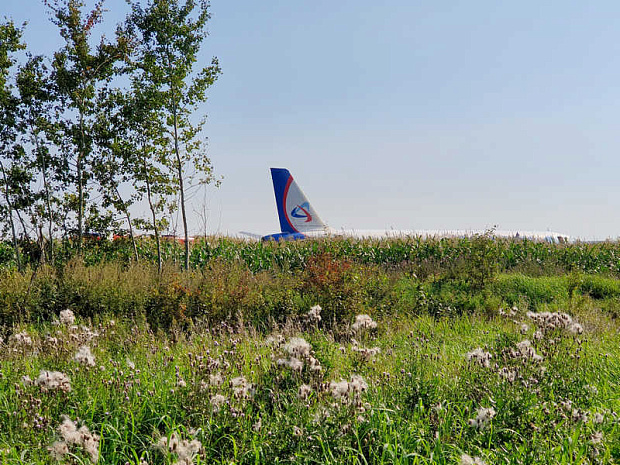 жуковский, уральские авиалинии, a321, посадка, авария