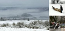 Центральную Европу замело снегом