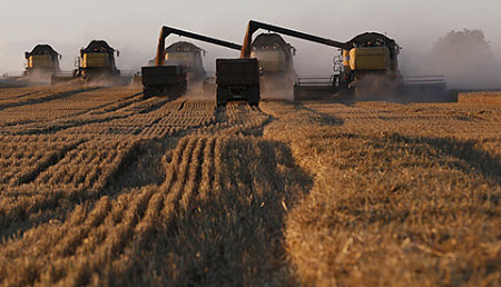 пшеница, мировые цены, продовольствие, агропром, рентабельность, инфляция