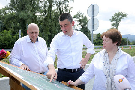 грузия, партии, грузинская мечта, иванишвили, общество, раскол