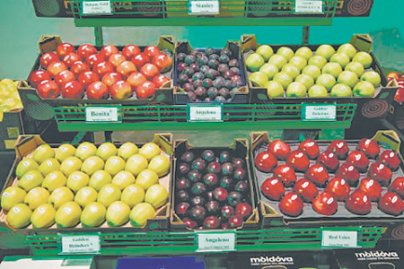 молдавия, новые рынки сбыта, винопроизводство, виноделие, вкусы европейцев, минсельхоз