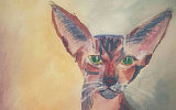 Главное – кот