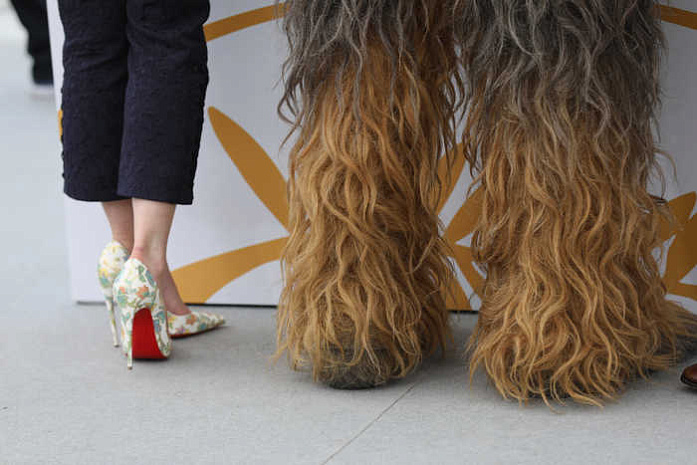 хан соло, чубака, штурмовики, канны