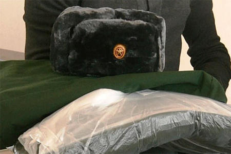 армия, новобранцы, военком, игры, депутаты, борис чернышев