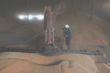 минсельхоз, товарные интервенции, пшеница, излишки, цены