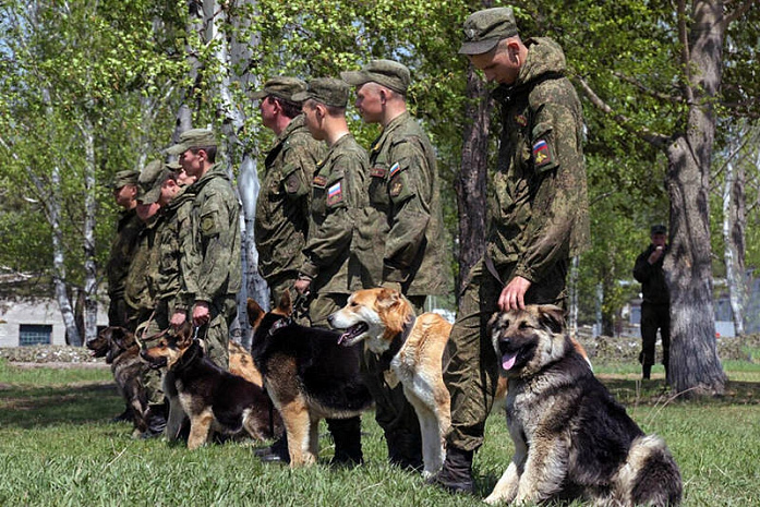 россия, армия, армейские игры