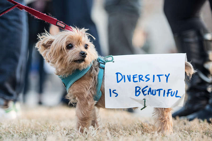 сша, иммиграция, протесты