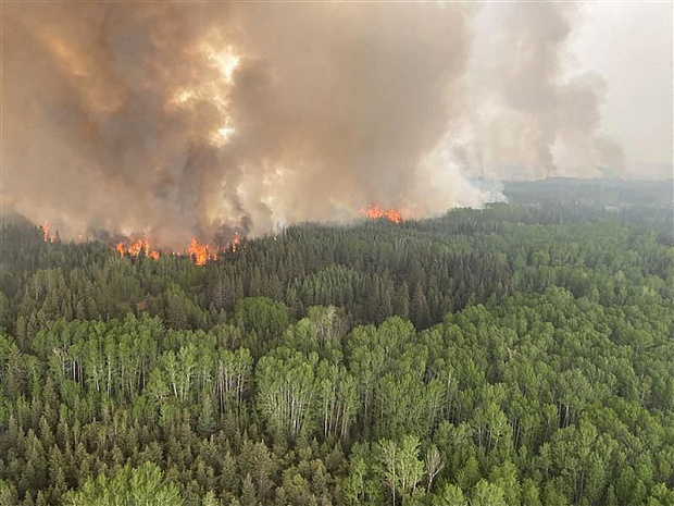 канада, леса, пожары