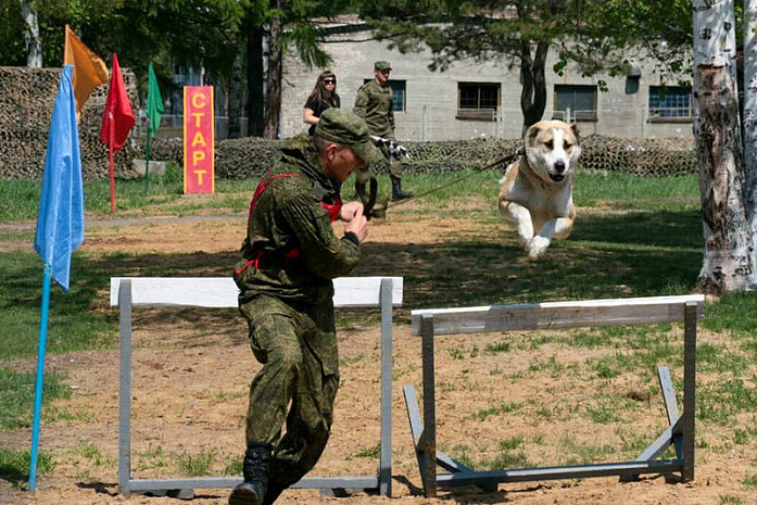 россия, армия, армейские игры