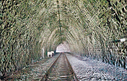 Из сибирского индивидуализма к свободе творчества