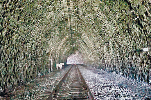 Из сибирского индивидуализма к свободе творчества