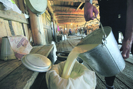 маркировка, молочные продукты, цены. производители. расходы, налоги