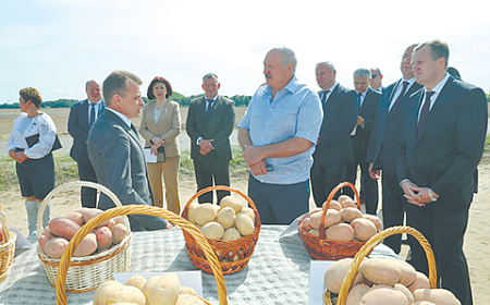 белоруссия, агропром, борщевой набор, лукашенко, управленческая архаика, оппозицонная критика, системные реформы