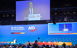 Лидеры "Альтернативы для Германии" выступают за переговоры между Россией и Украиной 