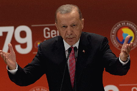 турция, эрдоган, правительство, перестановки, шимшек, экономика, западные инвесторы