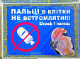 Найденыш