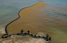 Саргассово море наступает на мексиканские пляжи