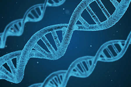 генетика, геном, биология, медицина