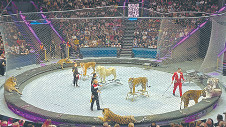 проза, цирк