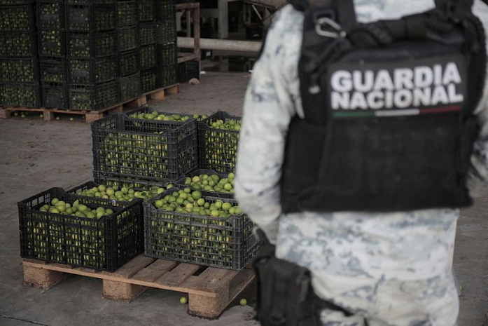 мексика, полиция, вымогатели, задержание