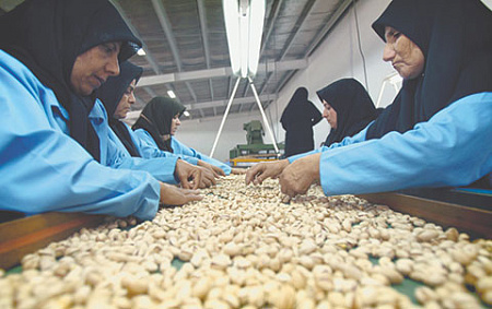 центральная азия, иран, запрет на экспорт продовольствия, торговые связи, сбои в логистике, вооруженный конфликт, сша, израиль