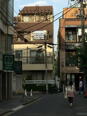 япония, фудзияма, суши, сумо, люди