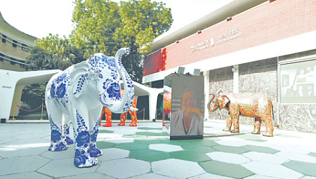 индия, никас сафронов, роснефть, выставка