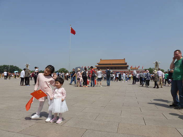 китай, пекин, цветы, весна