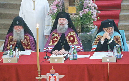 грузинская православная церковь, новый католикос патриарх, митрополит шио