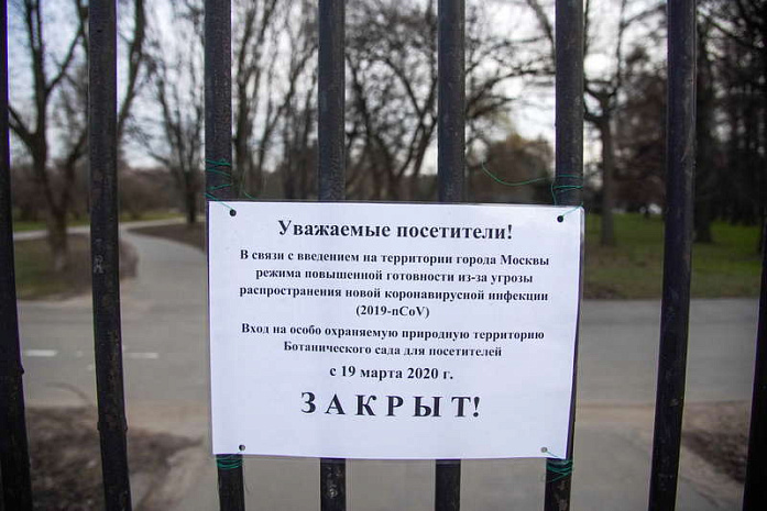 коронавирус, covid-19, москва, самоизоляция
