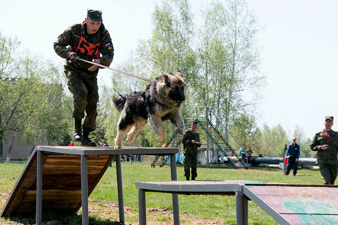 россия, армия, армейские игры