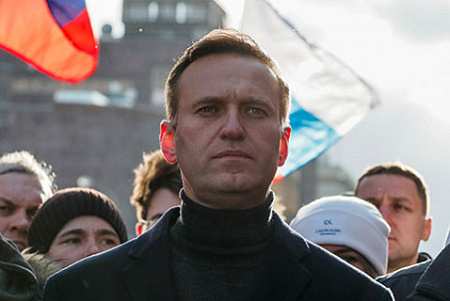навальный, ФРГ, германия, власть, бундестаг, правительство, отравление, новичок, химическое оружие, озхо