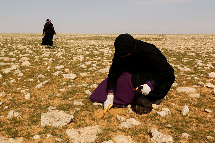 ирак, весна, трюфели