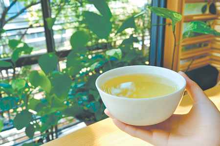 зеленый чай, секреты употребления