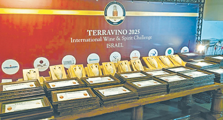 устойчивое винодарство, основные парадигмы, глобальная винная индустрия