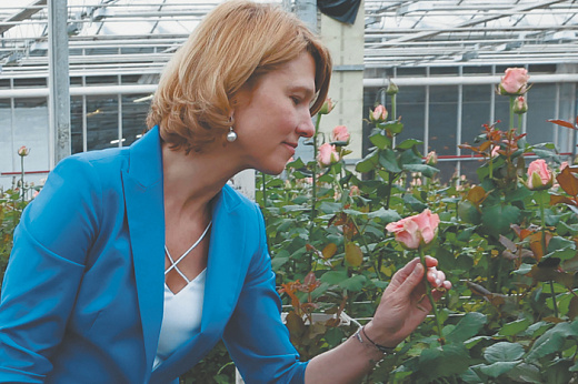 Инвестиции в сельское хозяйство России упали за год на 3,6%