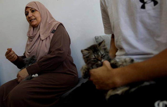 сектор газа, кото кафе