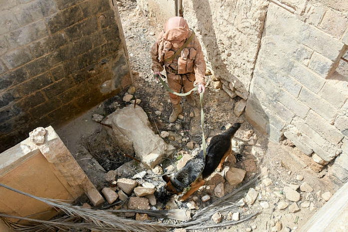 сирия, пальмира, саперы, разминирование