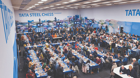 шахматный фестиваль, голландия, вейк ан зее, поединки