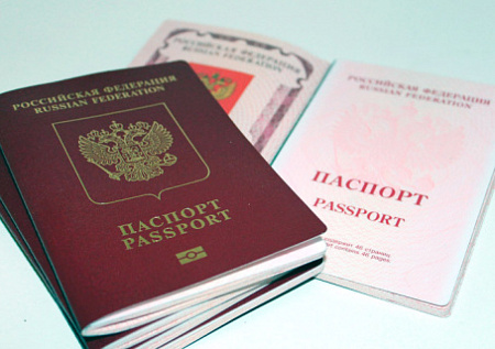 украина, беженцы, соотечественники, гражданство, госдума, закон