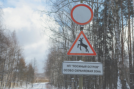 москва, места отдыха, национальный парк, лосиный остров, реабилитация