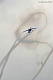 Hawker_Sea_Fury_Rauch_APO13_(c)MarkusZinner_02.jpg