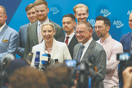фрг, партия, альтернатива для германии, адг, вайдель, съезд, электорат, энергетическая политика