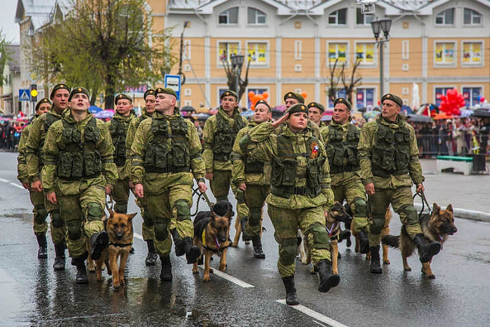 россия, армия, инженерные войска